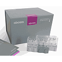 AB-AB207327  Anti-Albumin antibody [EPR20195]