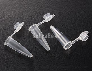 EX-P-02-C 0.2ml PCR Tube with Flat Caps (Pack), Clear