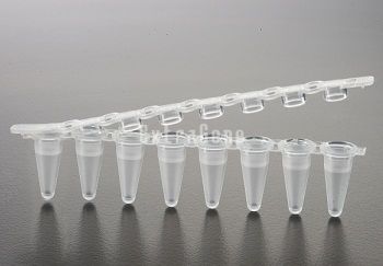 EX-P-02X8-WF 0.2ml PCR 8-Strip White Tubes with Flat Cap (Case), Clear 