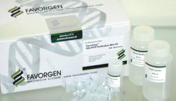 [FA-FAGC1026D] FAGCK 001-1 FavorPrep™ GEL/PCR Purification Mini Kit (300prep)
