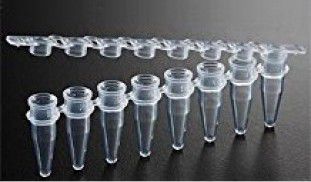 [EX-P-01X8-NF-C] EX-P-01X8-F 0.1ml PCR 8-Strip Tubes with Flat cap (Case), Clear